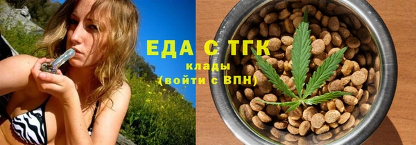 индика Гатчина