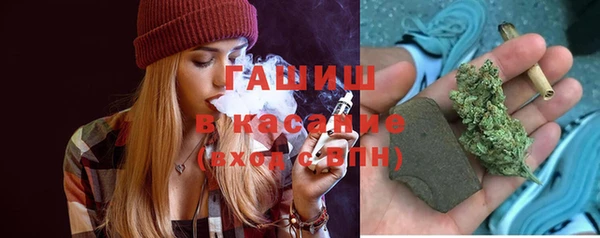 крисы Гвардейск