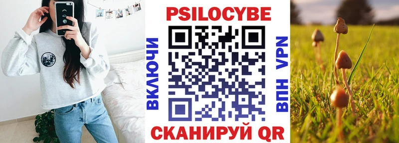 omg рабочий сайт  Балахна  Псилоцибиновые грибы Psilocybine cubensis  где продают  